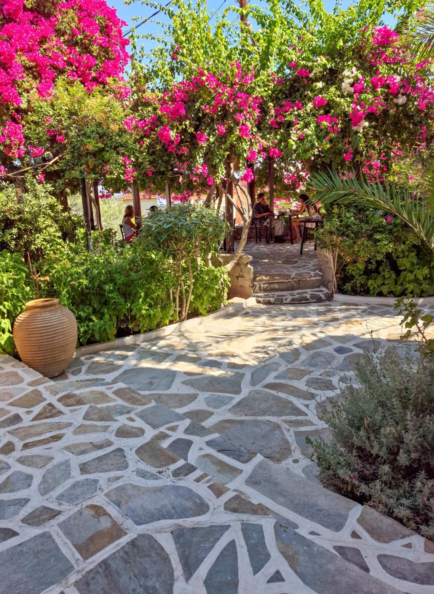 Vagia Traditional, Aegina Island Zewnętrze zdjęcie