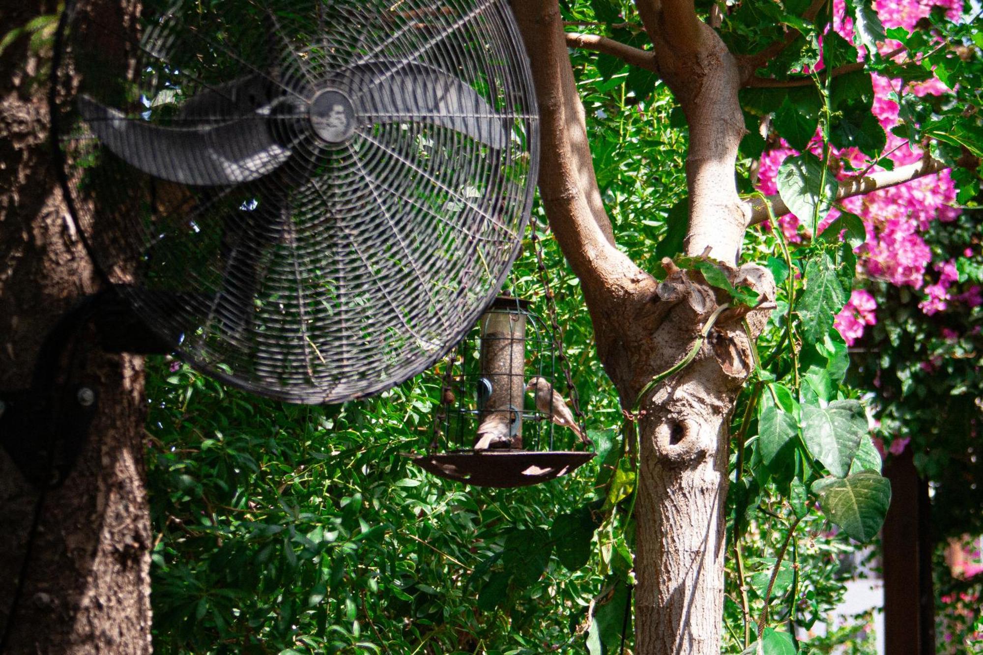 Vagia Traditional, Aegina Island Zewnętrze zdjęcie