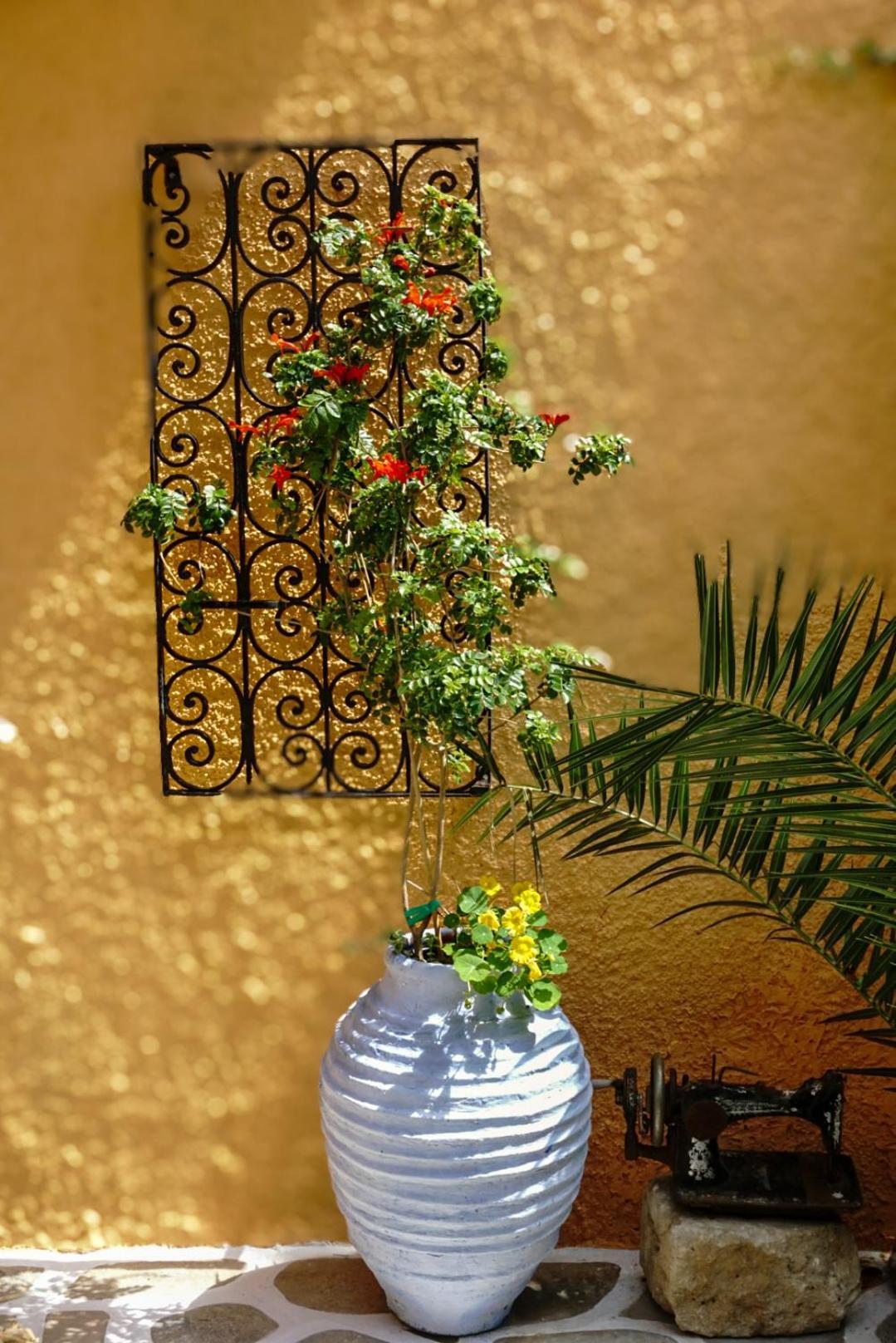 Vagia Traditional, Aegina Island Zewnętrze zdjęcie